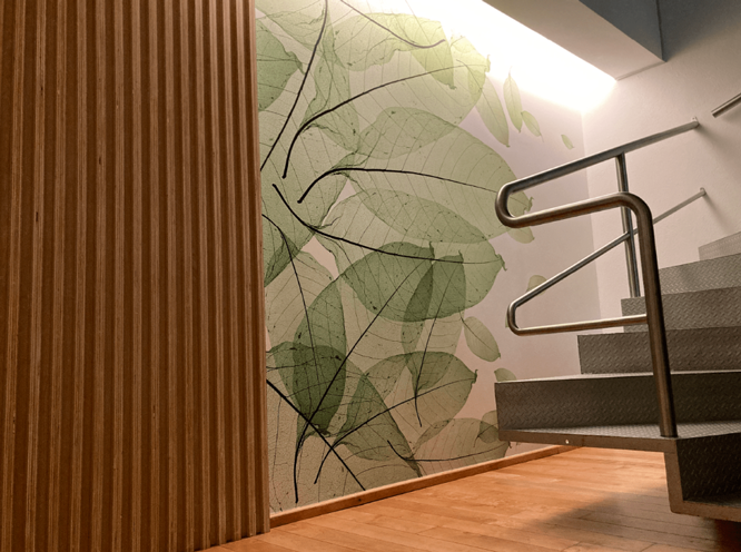 remodelacion casa monica